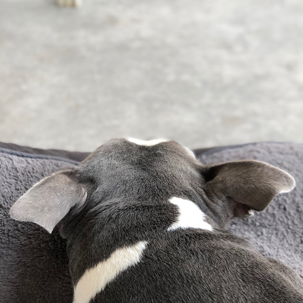 Meet your Posher, Devyn